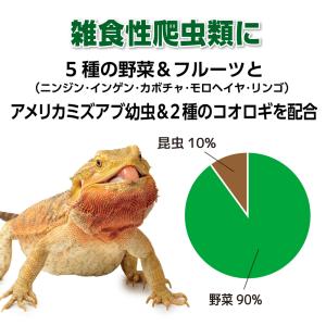 RepDeli ベジミックスペースト バグプラ...の詳細画像3