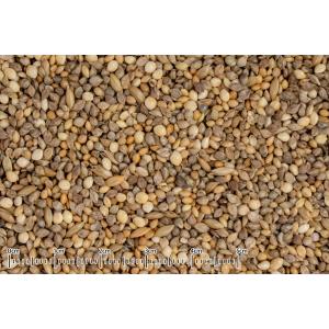 自然派宣言 ハムスターのごはん 40gの詳細画像1