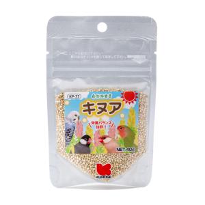 自然派宣言 キヌア 40gの商品画像