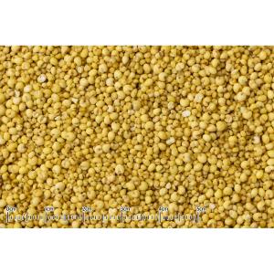 黒瀬ペット シード食専用サプリメント 食べるビ...の詳細画像1
