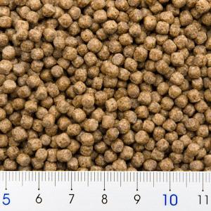 キョーリン 飼育教材 カメのエサ 大粒 200gの詳細画像1