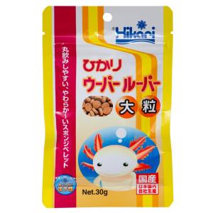 キョーリン ひかりウーパールーパー 大粒 ３０ｇ