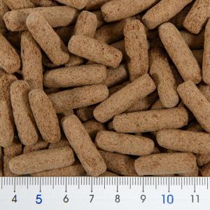 キョーリン ひかりベルツノ 40gの詳細画像1