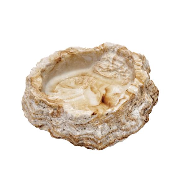 スドー レプティボウル 2 SF