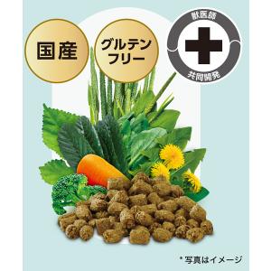 イースター バニーセレクションプロ ヘアボール...の詳細画像1