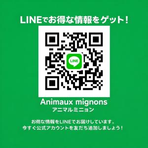 日本ペット 九官鳥フード キューチャン 640gの詳細画像4