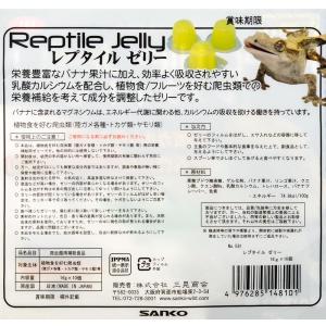 三晃商会 レプタイルゼリー 16g×10個(2...の詳細画像2