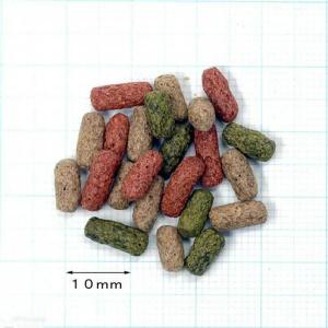 キョーリン ひかりクレスト タートル 52gの詳細画像2