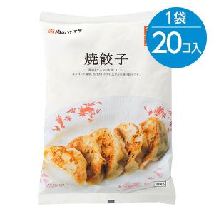 焼餃子 （30g×20個入） ※冷凍食品の商品画像