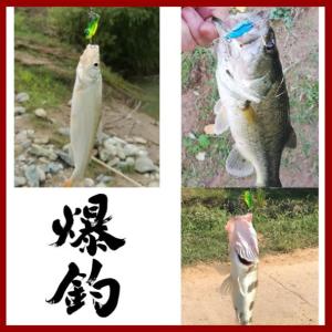 ルアー 釣り具 メタルバイブ 鉄板 バイブレー...の詳細画像5