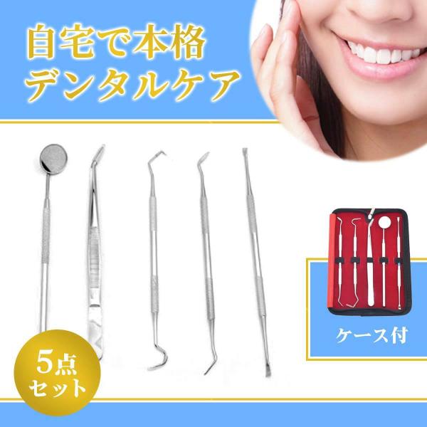 歯石取り セット 器具 スケーラー ケース付 歯垢 食べかす 除去 用具 デンタル オーラル ケア ...