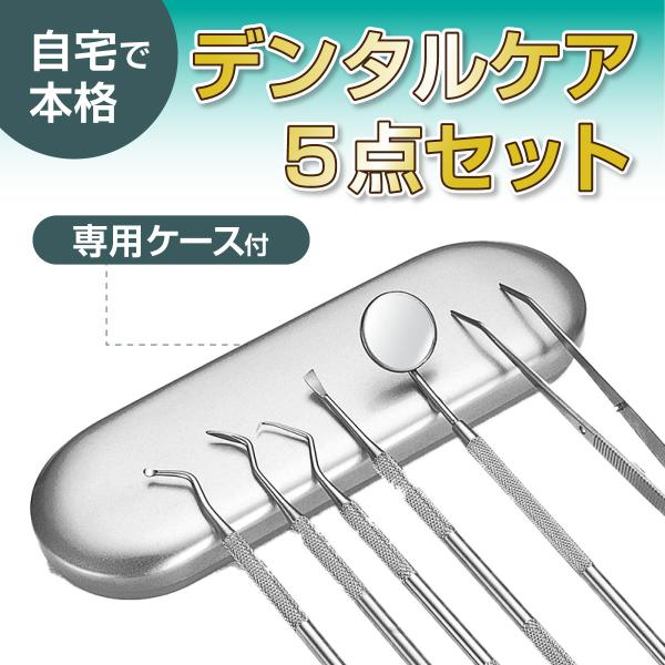 歯石取り 歯石とり スケーラー 歯石除去 ケース セット ヤニ オーラル デンタル ペット ステンレ...