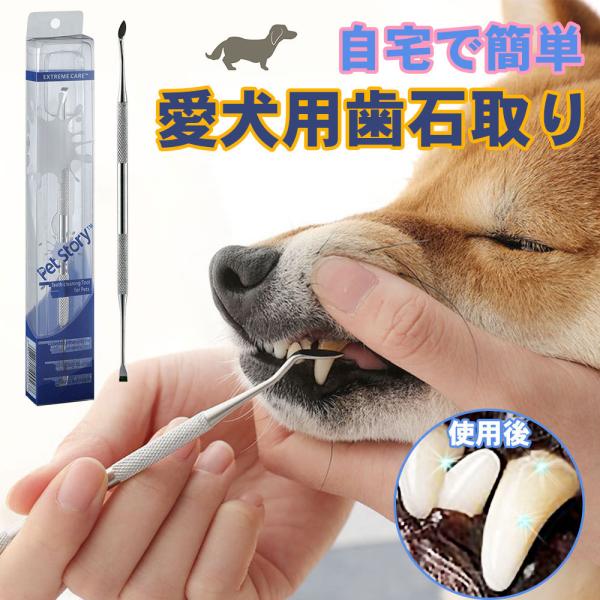 歯石取り 犬 猫 ペット用 スケーラー 歯石除去 歯磨き 虫歯予防 歯周病 器具 小型犬 中型犬 大...