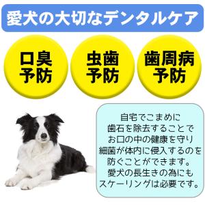 歯石取り 犬 猫 ペット用 スケーラー 歯石除...の詳細画像2