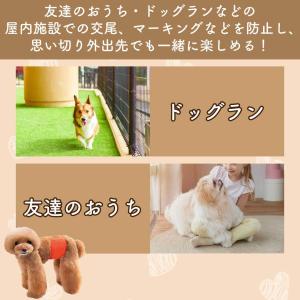 マナーベルト 犬 オス ずれない マナーパンツ...の詳細画像5
