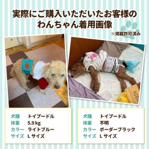 マナーベルト 犬 オス ずれない マナーパンツ...の詳細画像3