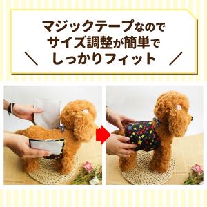 【まとめ買いでお得!】マナーベルト 犬 オス ...の詳細画像4