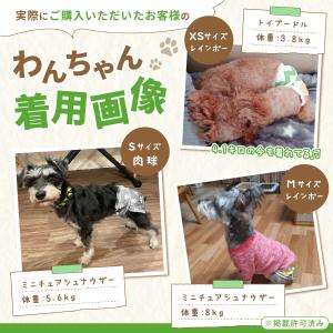 マナーパンツ 犬 オムツカバー メス マナーウ...の詳細画像1