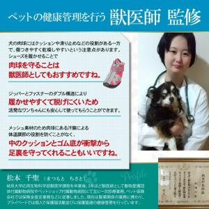 犬 靴 ドッグシューズ 靴下 犬の靴 散歩用 ...の詳細画像2