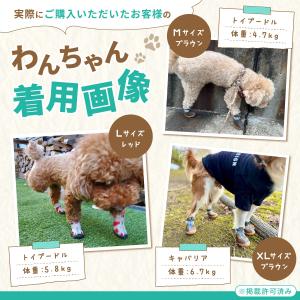 犬 靴 ドッグシューズ 靴下 犬の靴 散歩用 ...の詳細画像1