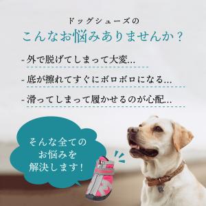 犬 靴 ドッグシューズ 靴下 犬の靴 散歩用 ...の詳細画像3