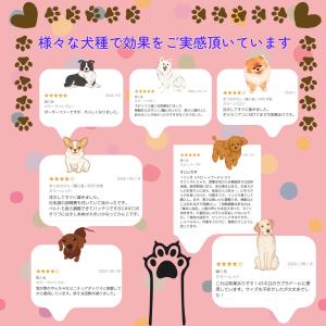 無駄吠え防止グッズ 犬 無駄吠え防止首輪 無駄...の詳細画像2