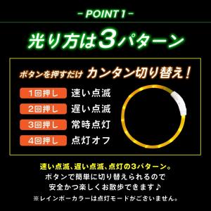 光る首輪 犬 首輪 犬 散歩 ライト 犬の首輪...の詳細画像2