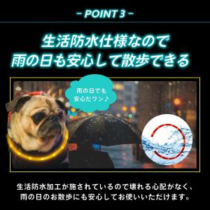 光る首輪 犬 首輪 犬 散歩 ライト 犬の首輪...の詳細画像4