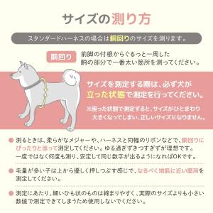 犬 ハーネス リード 脱げない 猫 小型犬 中...の詳細画像2