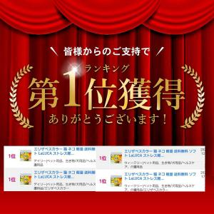 エリザベスカラー 猫 犬 ソフト 術後服 スト...の詳細画像1