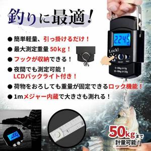 フィッシングメジャー フィッシングスケール デ...の詳細画像1