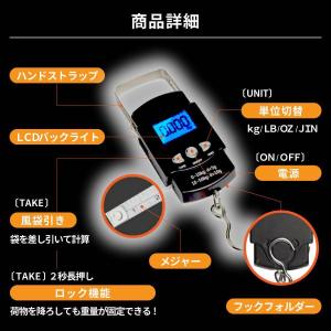 フィッシングメジャー フィッシングスケール デ...の詳細画像2