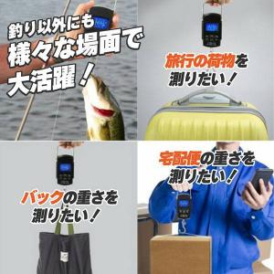 フィッシングメジャー フィッシングスケール デ...の詳細画像4