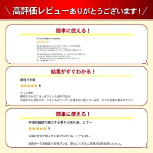 ph測定器 ペーハー測定器 デジタルATC 水...の詳細画像2