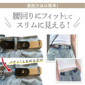 ゴムベルト レディース ノーバックル ベルト ...の詳細画像2