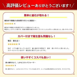 歯石取り 歯石とり 器具 スケーラー 歯石除去...の詳細画像2