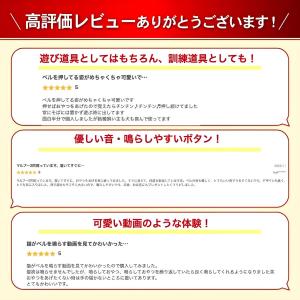 【2点目半額&3点目99%オフクーポン...の詳細画像3