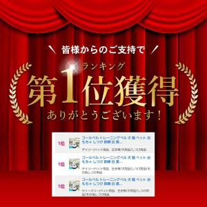 【2点目半額&3点目99%オフクーポン...の詳細画像2