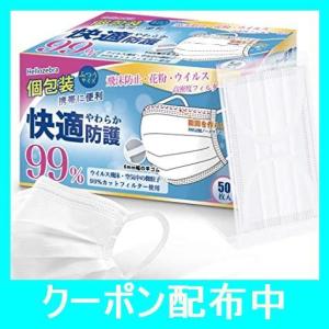 マスク 個包装 使い捨て 立体構造 不織布 白 平ゴム 耳痛くなりにくい 大人用 (50)