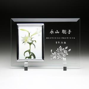 掛軸 名号 南無釈迦牟尼佛 南無釈迦牟尼仏 肉筆 : 仏壇仏具のまごころ