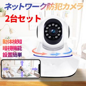 防犯カメラ 遠隔監視カメラ 2台セット ベビーモニター ペットモニター 暗視 動体検知 ネットワークカメラ ls-f2-2set