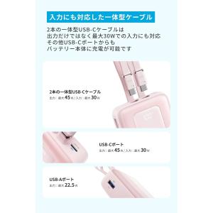 Anker Zolo Power Bank (...の詳細画像5