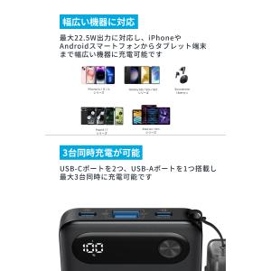 Anker Power Bank (10000...の詳細画像5