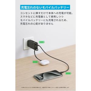 Anker Power Bank (30W, ...の詳細画像5