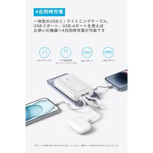 Anker Zolo Power Bank (...の詳細画像4