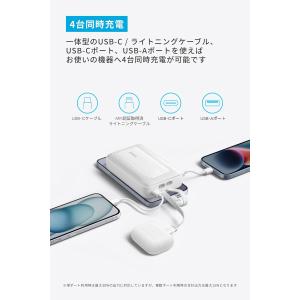Anker Zolo Power Bank (...の詳細画像4