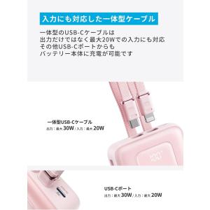 Anker Zolo Power Bank (...の詳細画像5