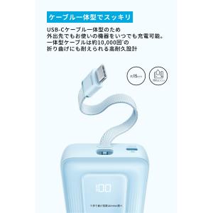 Anker Zolo Power Bank (...の詳細画像3