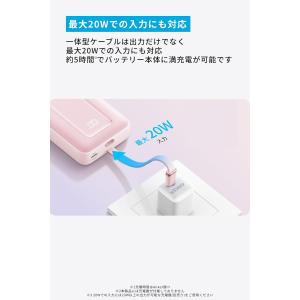 Anker Zolo Power Bank (...の詳細画像4