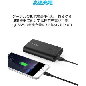 Anker USB Type C ケーブル P...の詳細画像2